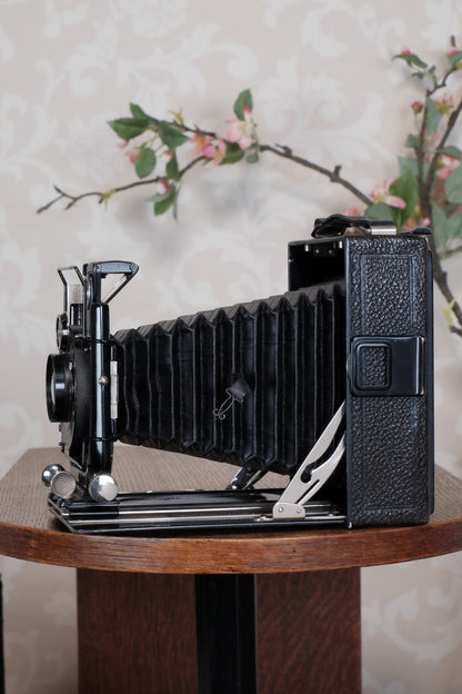 1931 Voigtlander 9x12 Camera with 6x9 120 roll film back. Freshly serviced, CLA'd!