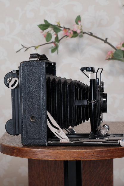 1931 Voigtlander 9x12 Camera with 6x9 120 roll film back. Freshly serviced, CLA'd!