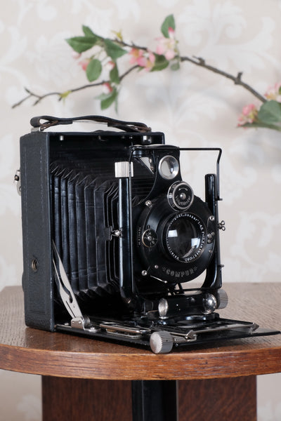 1931 Voigtlander 9x12 Camera with 6x9 120 roll film back. Freshly serviced, CLA'd!