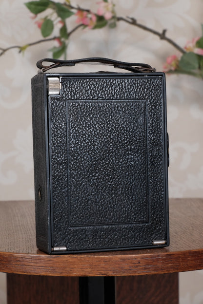1931 Voigtlander 9x12 Camera with 6x9 120 roll film back. Freshly serviced, CLA'd!