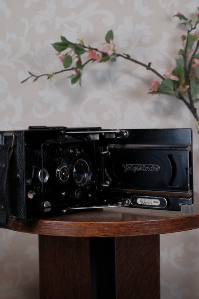 1931 Voigtlander 9x12 Camera with 6x9 120 roll film back. Freshly serviced, CLA'd!