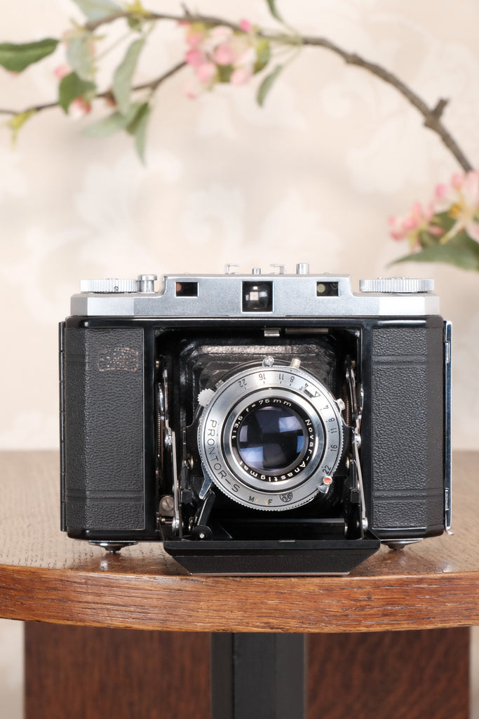 zeiss ikon 6x6