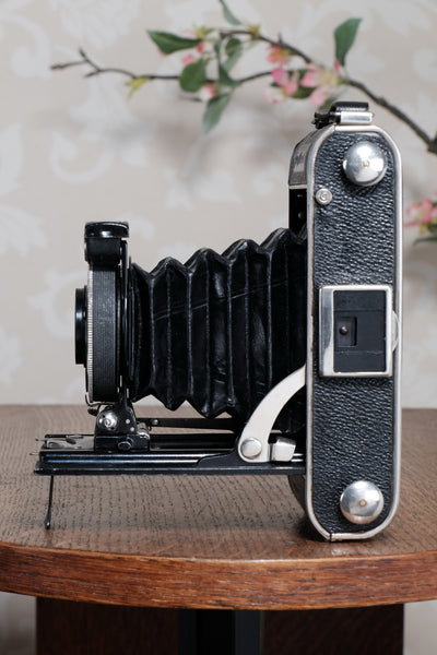 1934 Voigtlander Inos II 6x9 Folder, CLA’d, Freshly Serviced!