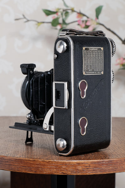 1934 Voigtlander Inos II 6x9 Folder, CLA’d, Freshly Serviced!