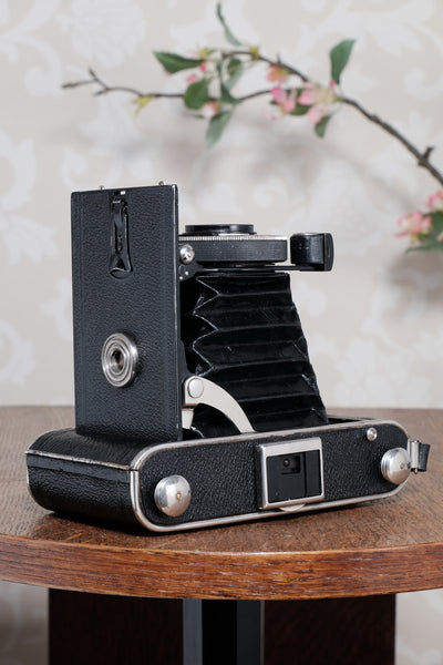 1934 Voigtlander Inos II 6x9 Folder, CLA’d, Freshly Serviced!