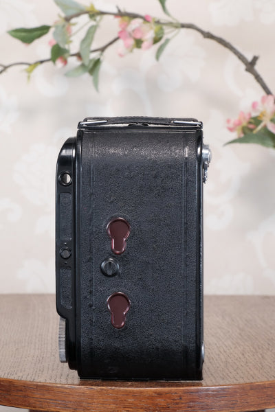Excellent 1939 Voigtlander Bessa Rangefinder with HELIAR LENS! 6x9, Freshly Serviced, CLA'd.