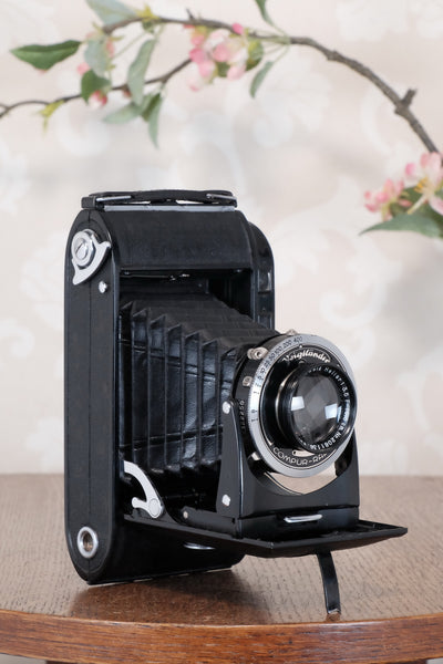 Excellent 1939 Voigtlander Bessa Rangefinder with HELIAR LENS! 6x9, Freshly Serviced, CLA'd.