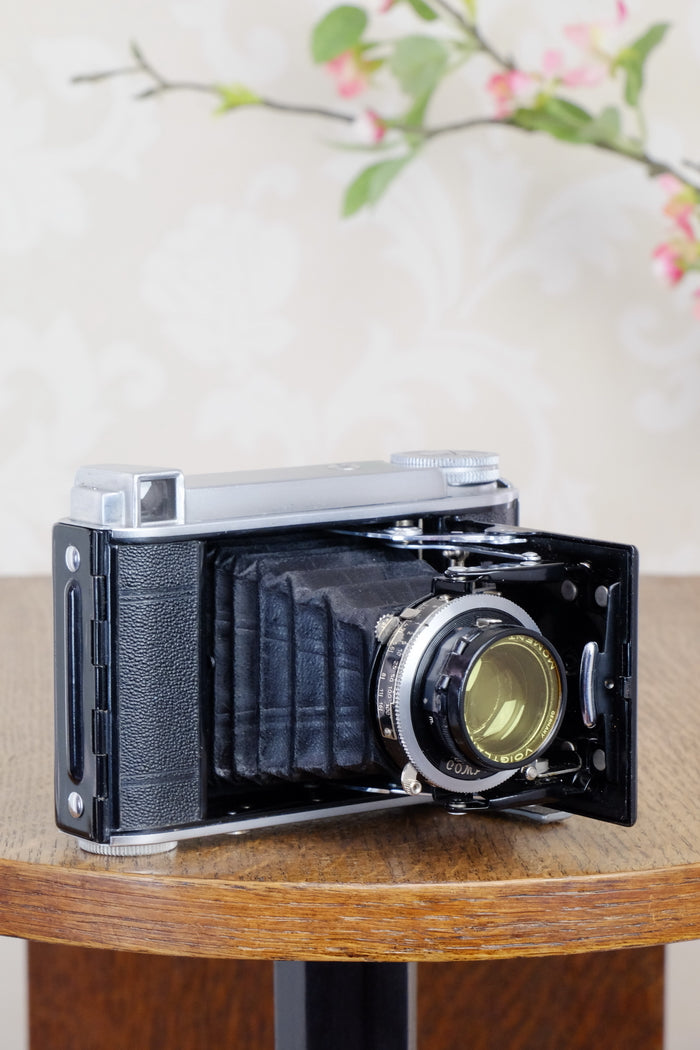 Superb! 1936  Voigtlander “Baby Bessa“ 66, 6x6 camera, Skopar lens, CLA'd, Freshly Serviced! - Voigtlander- Petrakla Classic Cameras