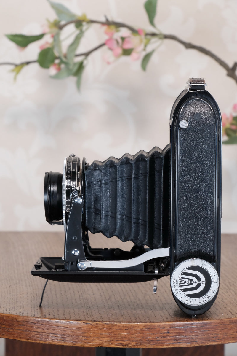SUPERB!, 1940 Voigtlander Bessa Rangefinder with HELIAR LENS! 6x9, Freshly Serviced, CLA'd.