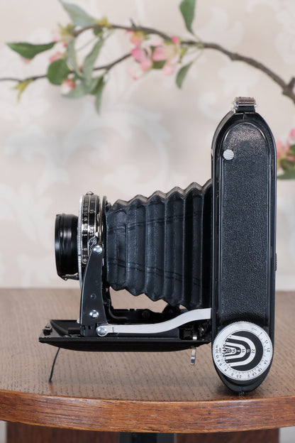 SUPERB!, 1940 Voigtlander Bessa Rangefinder with HELIAR LENS! 6x9, Freshly Serviced, CLA'd.