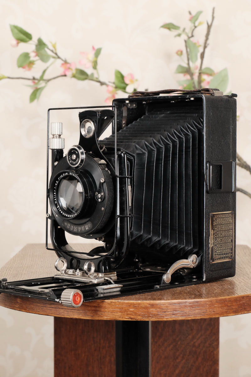 The BIG Voigtlander 10x15cm Bergheil! 10x15 Bergheil Camera with large format 165mm HELIAR LENS! Freshly serviced CLA’d - Voigtlander- Petrakla Classic Cameras