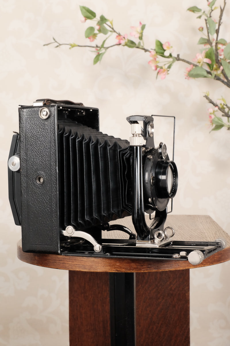The BIG Voigtlander 10x15cm Bergheil! 10x15 Bergheil Camera with large format 165mm HELIAR LENS! Freshly serviced CLA’d - Voigtlander- Petrakla Classic Cameras