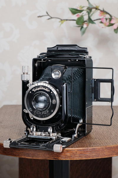 Near Mint! Rare Green Voigtlander 1934 Bergheil Camera (De Luxe) with Heliar lens and 6x9 Rada 120 roll-film back! Freshly serviced, CLA'd!