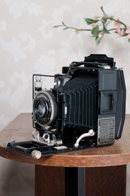 Near Mint! Rare Green Voigtlander 1934 Bergheil Camera (De Luxe) with Heliar lens and 6x9 Rada 120 roll-film back! Freshly serviced, CLA'd!