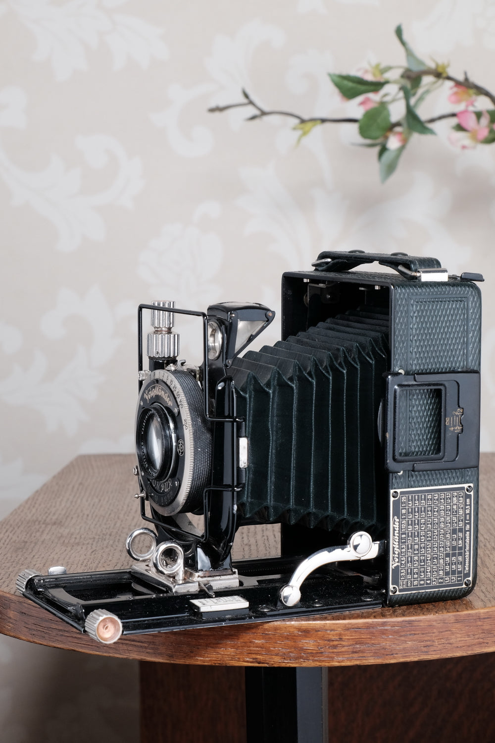 Near Mint! Rare Green Voigtlander 1934 Bergheil Camera (De Luxe) with Heliar lens and 6x9 Rada 120 roll-film back! Freshly serviced, CLA'd!