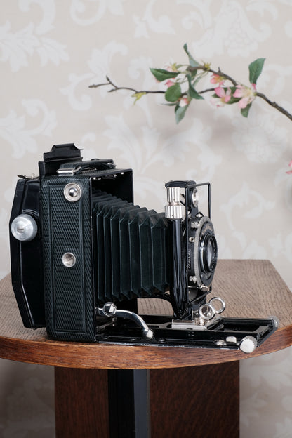 Near Mint! Rare Green Voigtlander 1934 Bergheil Camera (De Luxe) with Heliar lens and 6x9 Rada 120 roll-film back! Freshly serviced, CLA'd!