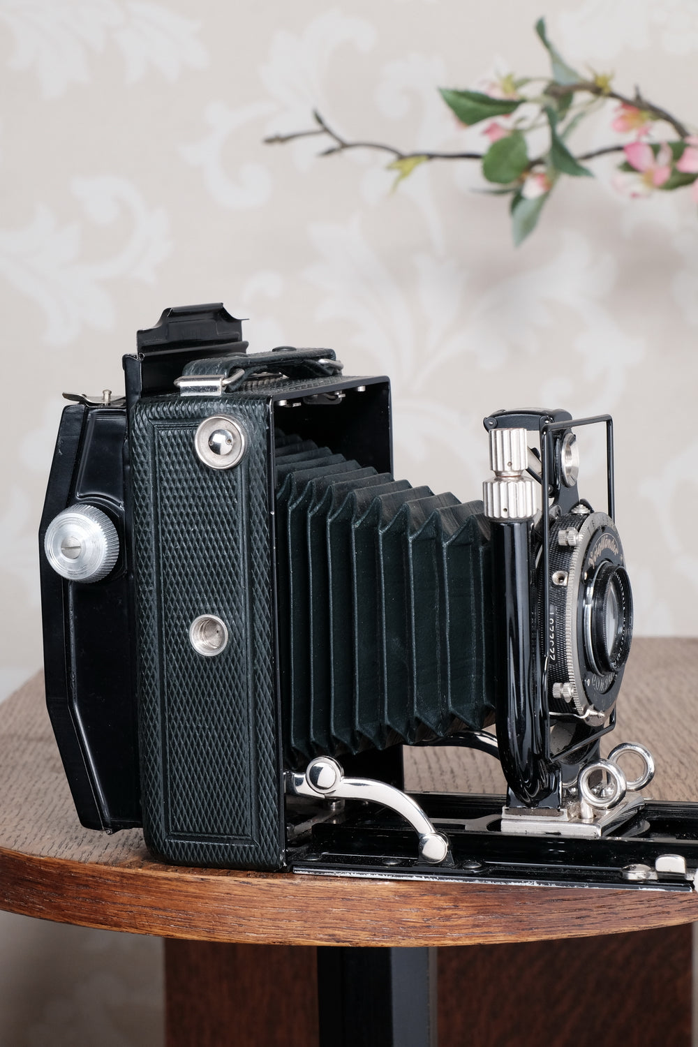 Near Mint! Rare Green Voigtlander 1934 Bergheil Camera (De Luxe) with Heliar lens and 6x9 Rada 120 roll-film back! Freshly serviced, CLA'd!