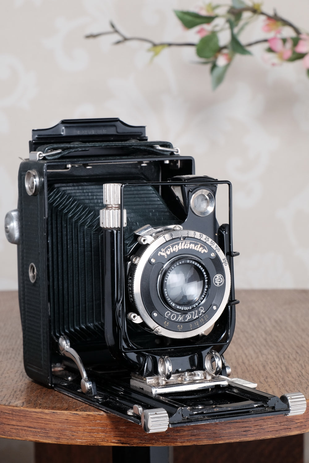 Near Mint! Rare Green Voigtlander 1934 Bergheil Camera (De Luxe) with Heliar lens and 6x9 Rada 120 roll-film back! Freshly serviced, CLA'd!