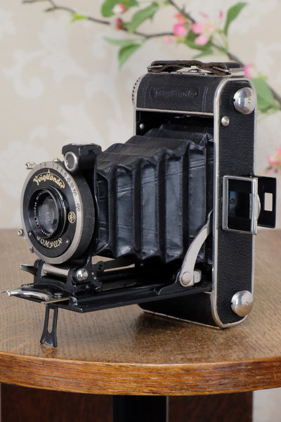 1933 Voigtlander Inos II 6x9 Folder, CLA’d, FRESHLY SERVICED! - Voigtlander- Petrakla Classic Cameras