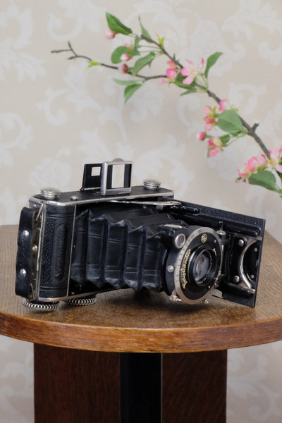 1933 Voigtlander Inos II 6x9 Folder, CLA’d, FRESHLY SERVICED! - Voigtlander- Petrakla Classic Cameras