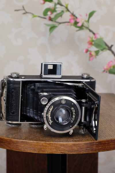 1933 Voigtlander Inos II 6x9 Folder, CLA’d, FRESHLY SERVICED! - Voigtlander- Petrakla Classic Cameras