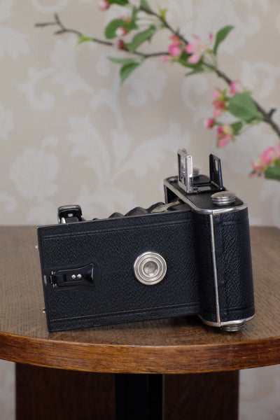 1933 Voigtlander Inos II 6x9 Folder, CLA’d, FRESHLY SERVICED! - Voigtlander- Petrakla Classic Cameras
