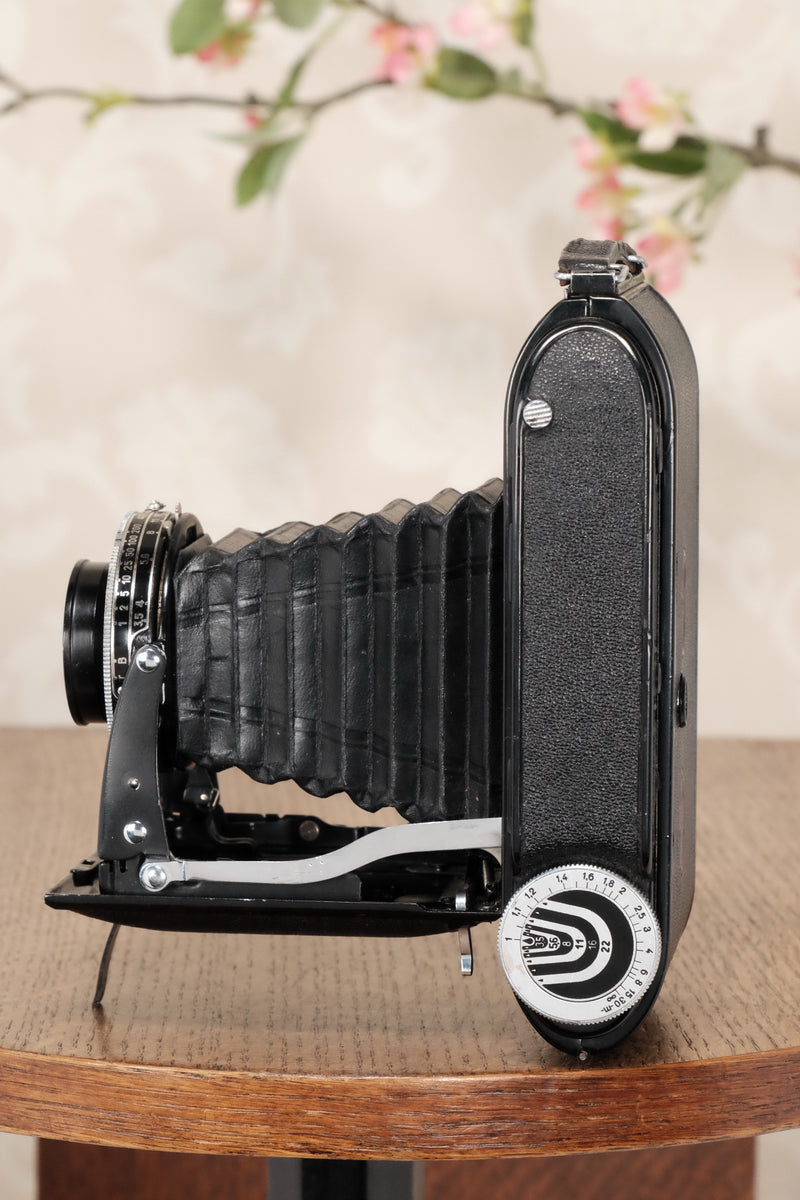 Excellent 1939 6x9 Voigtlander Bessa Rangefinder, Freshly Serviced, CLA'd. - Voigtlander- Petrakla Classic Cameras