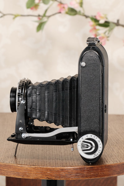 Excellent 1939 6x9 Voigtlander Bessa Rangefinder, Freshly Serviced, CLA'd. - Voigtlander- Petrakla Classic Cameras
