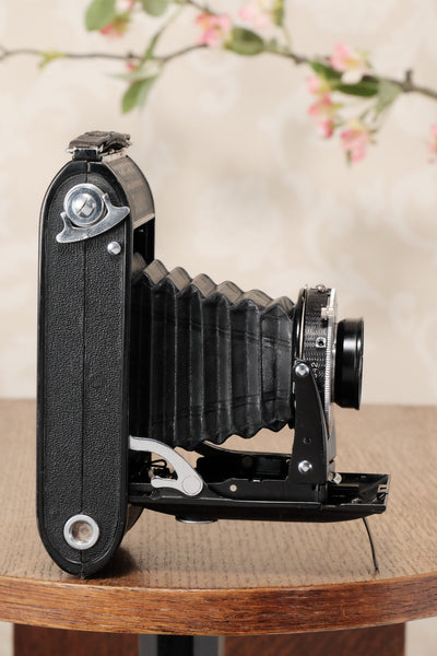 Excellent 1939 6x9 Voigtlander Bessa Rangefinder, Freshly Serviced, CLA'd. - Voigtlander- Petrakla Classic Cameras