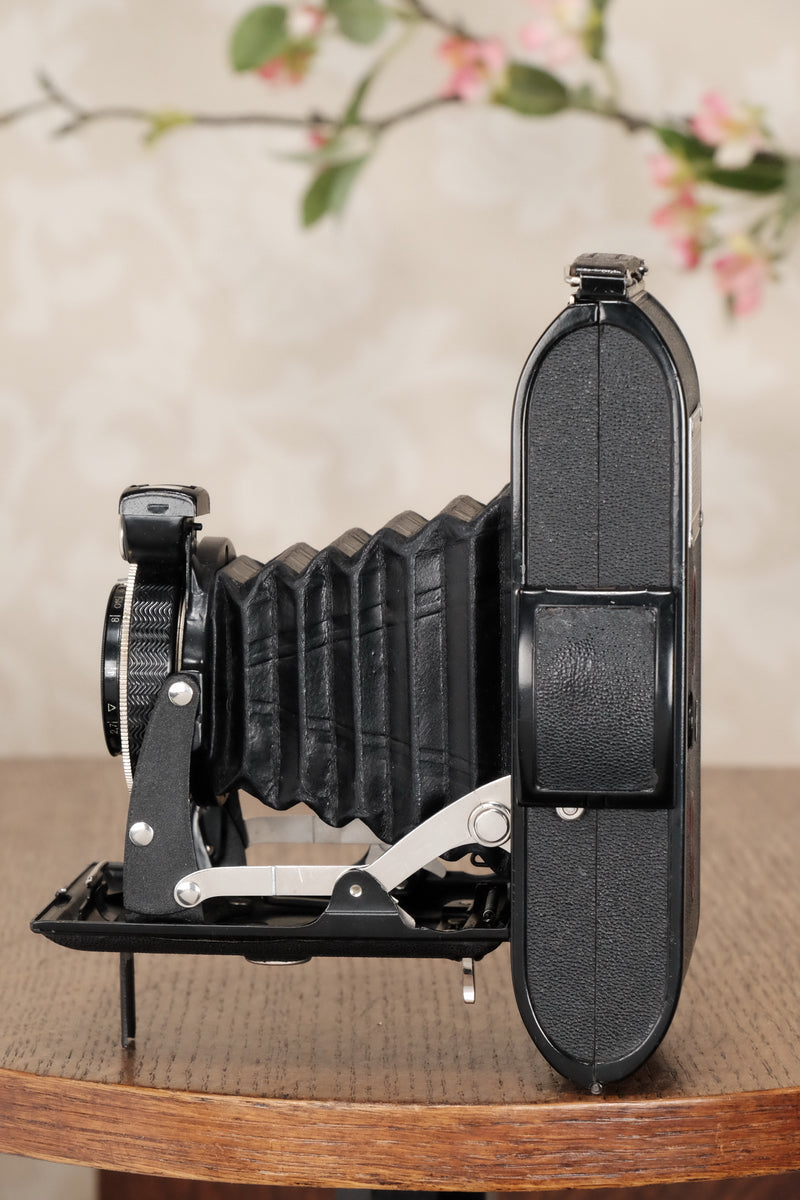 Circa 1939 Voigtlander 6x9 Bessa, Skopar lens & Compur shutter, CLA’d, Freshly Serviced! - Voigtlander- Petrakla Classic Cameras