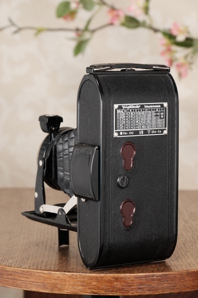 Circa 1939 Voigtlander 6x9 Bessa, Skopar lens & Compur shutter, CLA’d, Freshly Serviced! - Voigtlander- Petrakla Classic Cameras