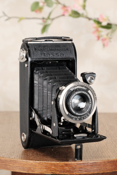 Circa 1939 Voigtlander 6x9 Bessa, Skopar lens & Compur shutter, CLA’d, Freshly Serviced! - Voigtlander- Petrakla Classic Cameras