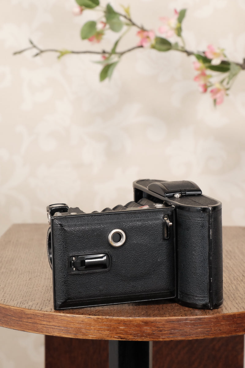 Circa 1939 Voigtlander 6x9 Bessa, Skopar lens & Compur shutter, CLA’d, Freshly Serviced! - Voigtlander- Petrakla Classic Cameras