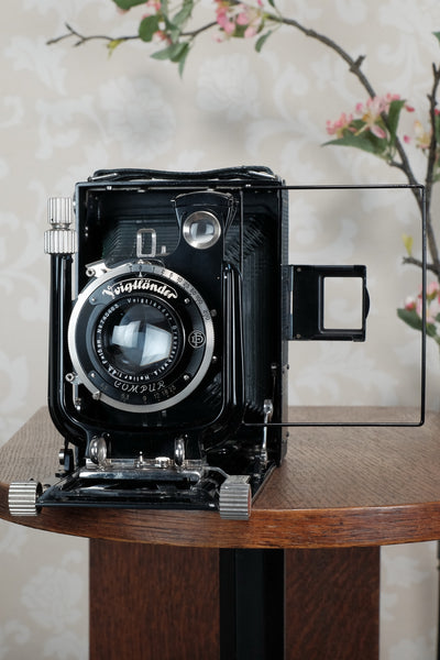 Near Mint! Rare Green Voigtlander 1933 Bergheil Camera (De Luxe) with Heliar lens, Freshly serviced, CLA'd!