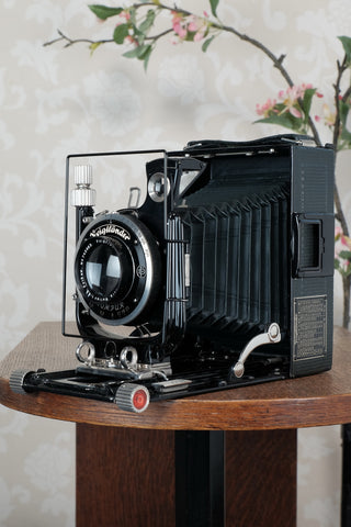 Near Mint! Rare Green Voigtlander 1933 Bergheil Camera (De Luxe) with Heliar lens, Freshly serviced, CLA'd!