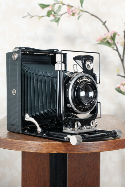 Near Mint! Rare Green Voigtlander 1933 Bergheil Camera (De Luxe) with Heliar lens, Freshly serviced, CLA'd!