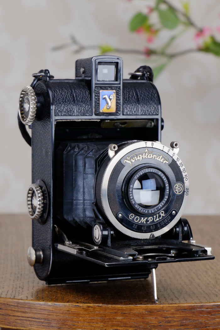 1934 Voigtlander Virtus 6x4.5 Folder, CLAd, FRESHLY SERVCED! - Voigtlander- Petrakla Classic Cameras