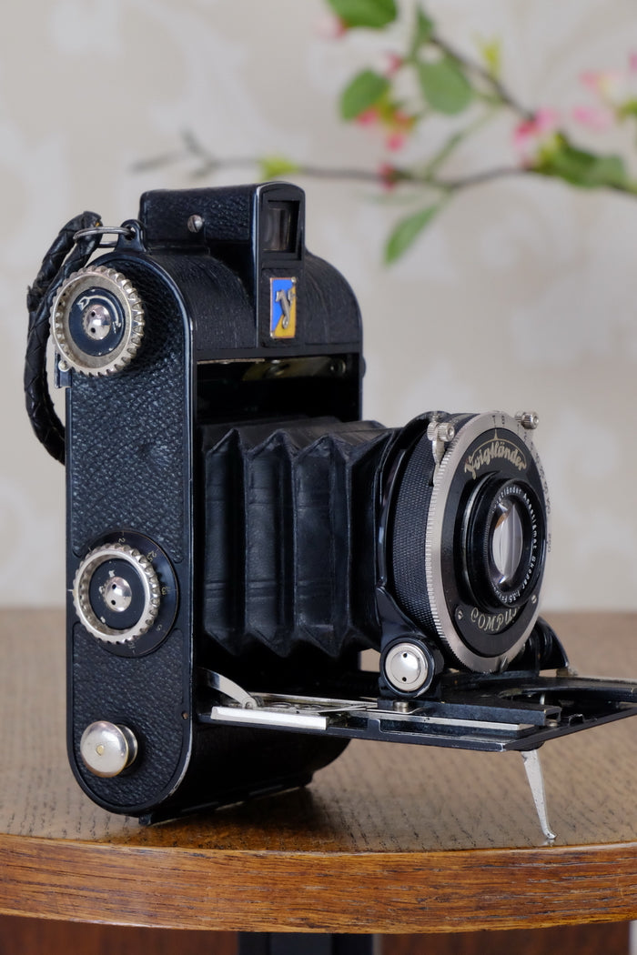 1934 Voigtlander Virtus 6x4.5 Folder, CLAd, FRESHLY SERVCED! - Voigtlander- Petrakla Classic Cameras