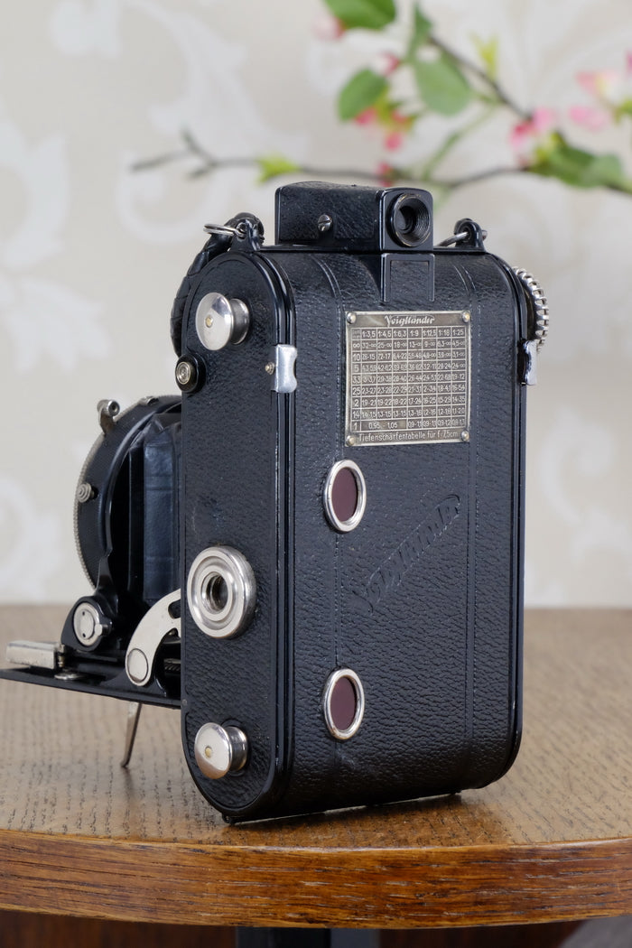 1934 Voigtlander Virtus 6x4.5 Folder, CLAd, FRESHLY SERVCED! - Voigtlander- Petrakla Classic Cameras