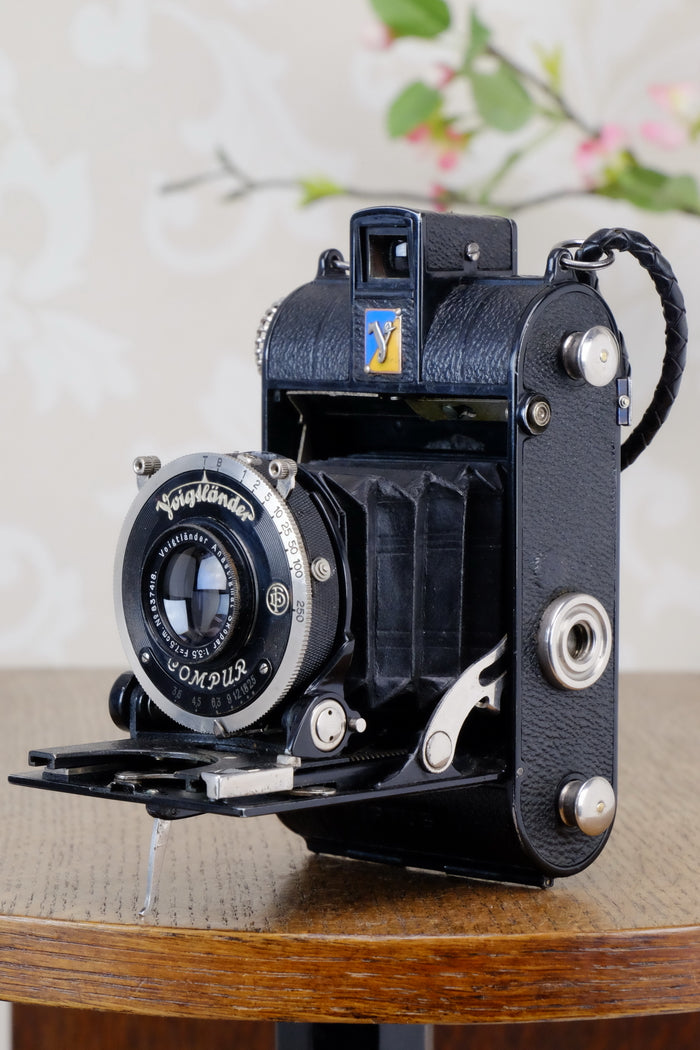 1934 Voigtlander Virtus 6x4.5 Folder, CLAd, FRESHLY SERVCED! - Voigtlander- Petrakla Classic Cameras