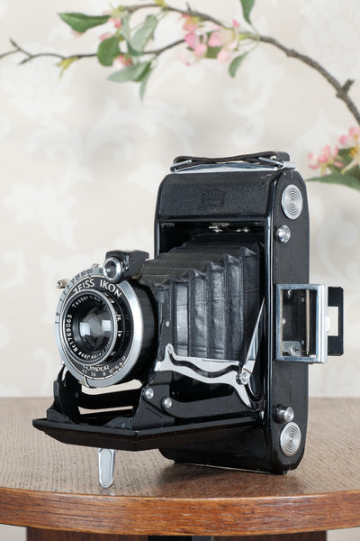 1936 Zeiss Ikon 6x9 Nettar with Tessar Lens , Freshly Serviced, CLA'd!