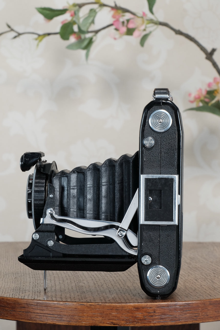 1936 Zeiss Ikon 6x9 Nettar with Tessar Lens , Freshly Serviced, CLA'd!