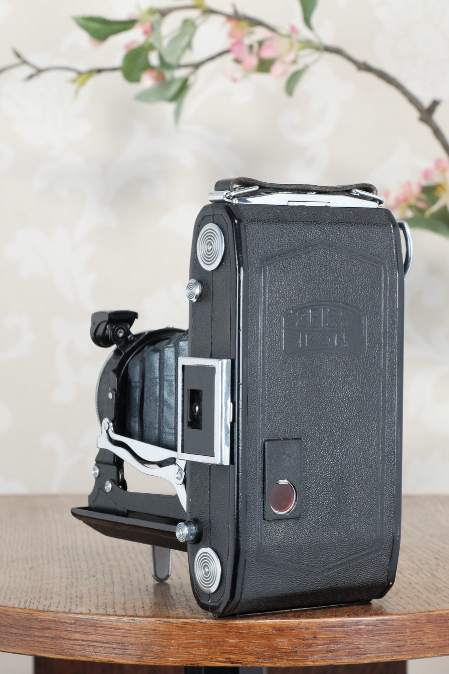 1936 Zeiss Ikon 6x9 Nettar with Tessar Lens , Freshly Serviced, CLA'd!