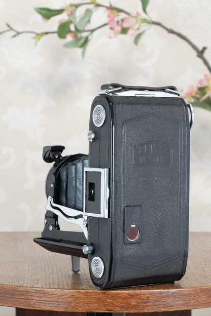 1936 Zeiss Ikon 6x9 Nettar with Tessar Lens , Freshly Serviced, CLA'd!