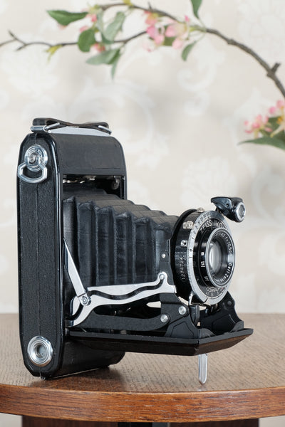 1936 Zeiss Ikon 6x9 Nettar with Tessar Lens , Freshly Serviced, CLA'd!