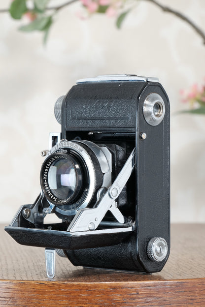 1937 Welta Welti, with hard to find Schneider Xenon 2.0/50mm lens, CLA'd, Freshly Serviced!