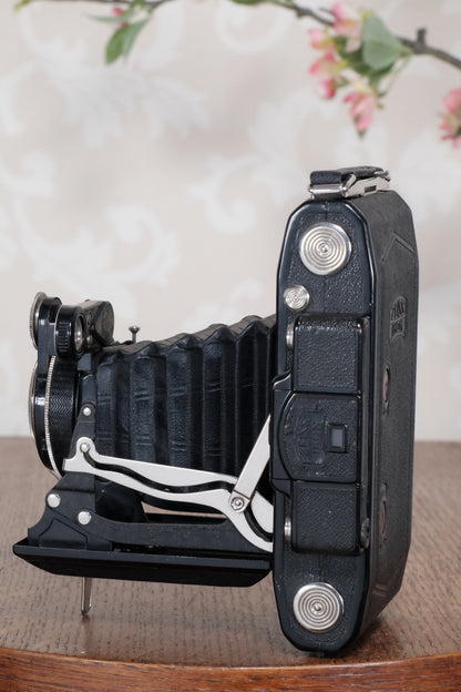 Superb! 1934 Zeiss Ikon Super Ikonta C, 6x9, CLA'd, FRESHLY SERVICED! - Zeiss-Ikon- Petrakla Classic Cameras