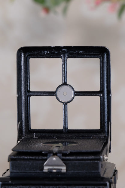 Superb! 1932 Rare early Old Standard Rolleiflex, Freshly Serviced, CLA’d