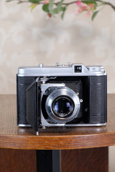 Superb! 1952 6x6 Voigtlander Perkeo II with Color-Skopar Lens & Synchro-Compur Shutter, CLA’d, Freshly Serviced