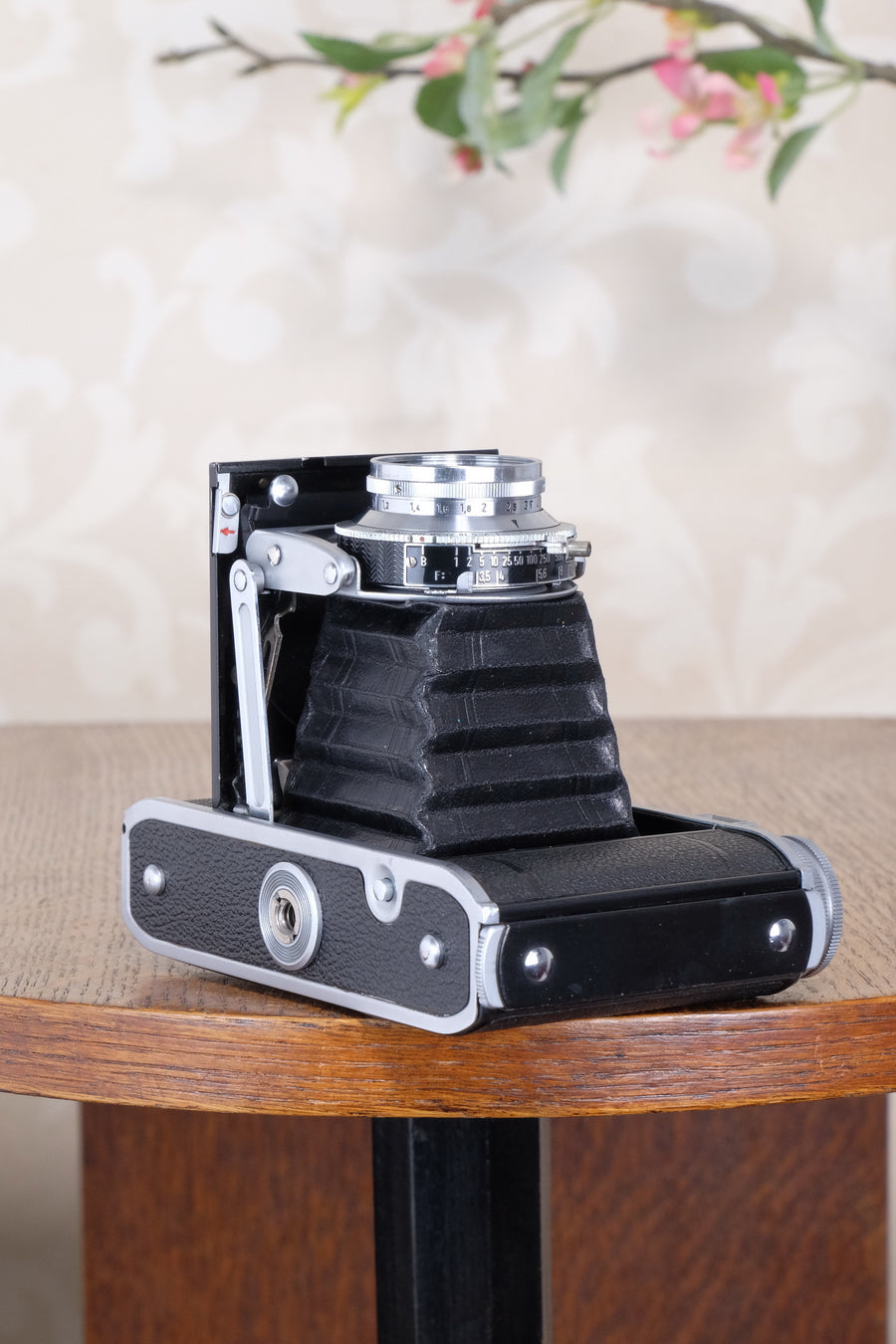 Superb! 1952 6x6 Voigtlander Perkeo II with Color-Skopar Lens & Synchro-Compur Shutter, CLA’d, Freshly Serviced